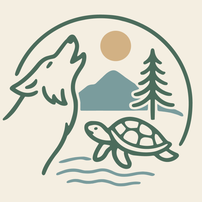 jesse welles world illustration