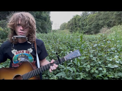 Jesse Welles - Locusts